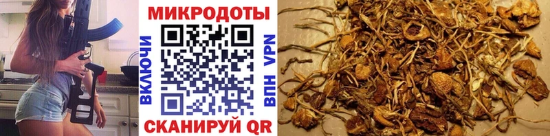 Галлюциногенные грибы Magic Shrooms  Сертолово 