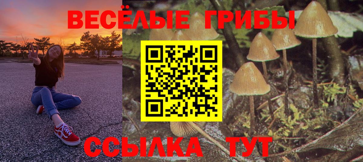 Галлюциногенные грибы MAGIC MUSHROOMS Сертолово