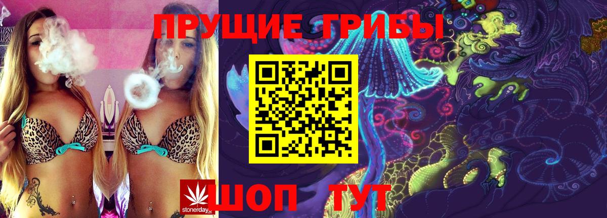 Сертолово  Галлюциногенные грибы Magic Shrooms  купить  сайты  Вход с VPN 