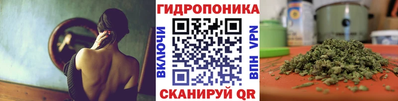 OMG ONION  Сертолово  Бошки Шишки LSD WEED 